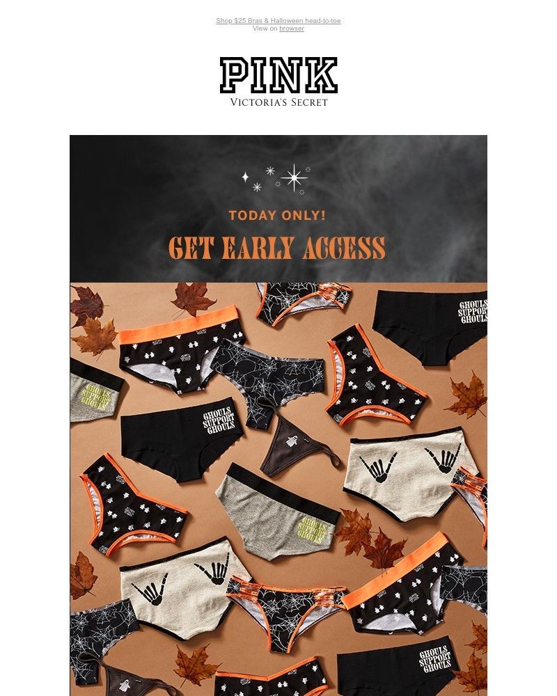 Screenshot of email with subject /media/emails/starts-tomorrow-835-panties-d8d31d-cropped-cdfec79f.jpg