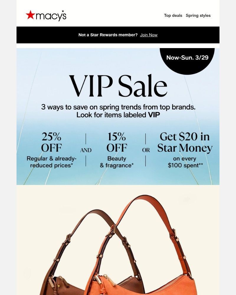 Screenshot of email with subject /media/emails/statement-bags-that-steal-the-spotlight-9cc5ca-cropped-a134ddc9.jpg