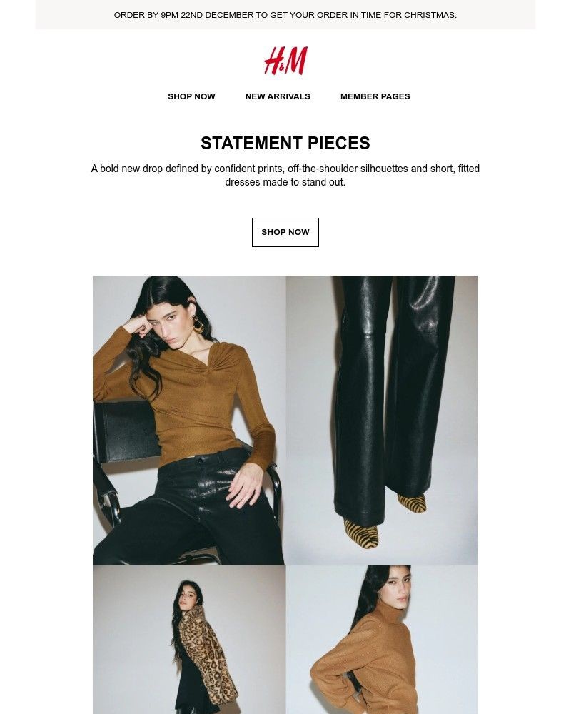 Screenshot of email sent to a H&M Newsletter subscriber