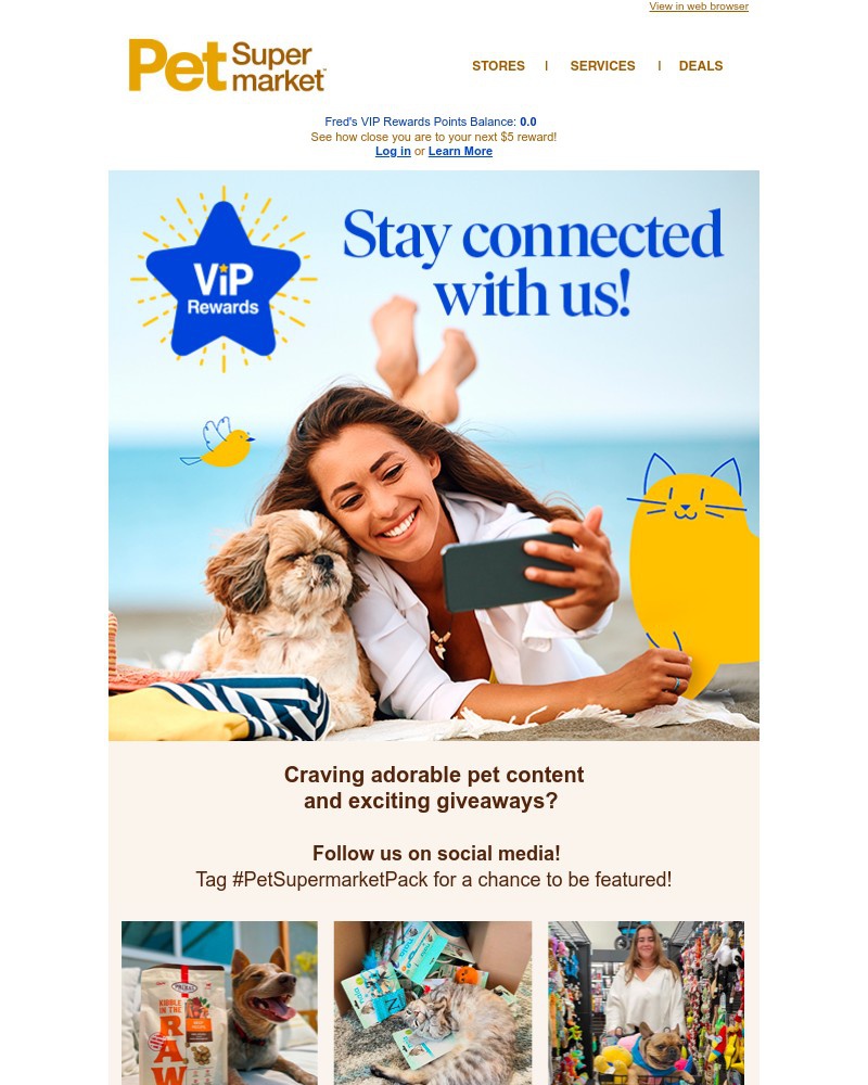 Screenshot of email with subject /media/emails/stay-connected-07d551-cropped-1a1ff01a.jpg