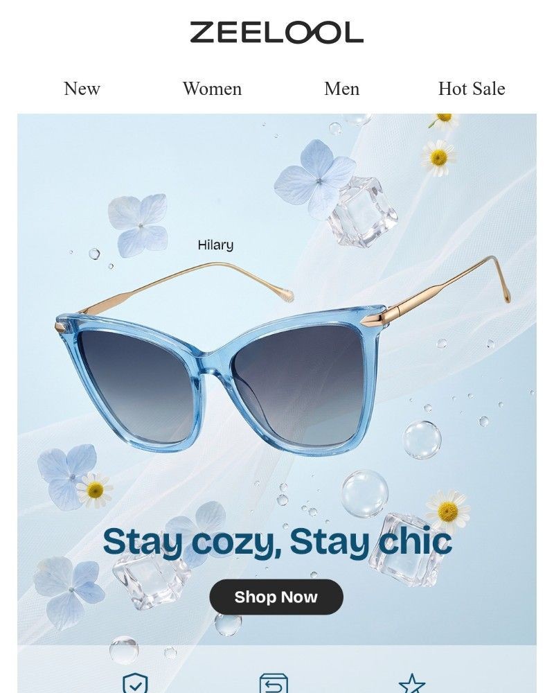 Screenshot of email sent to a Zeelool Newsletter subscriber