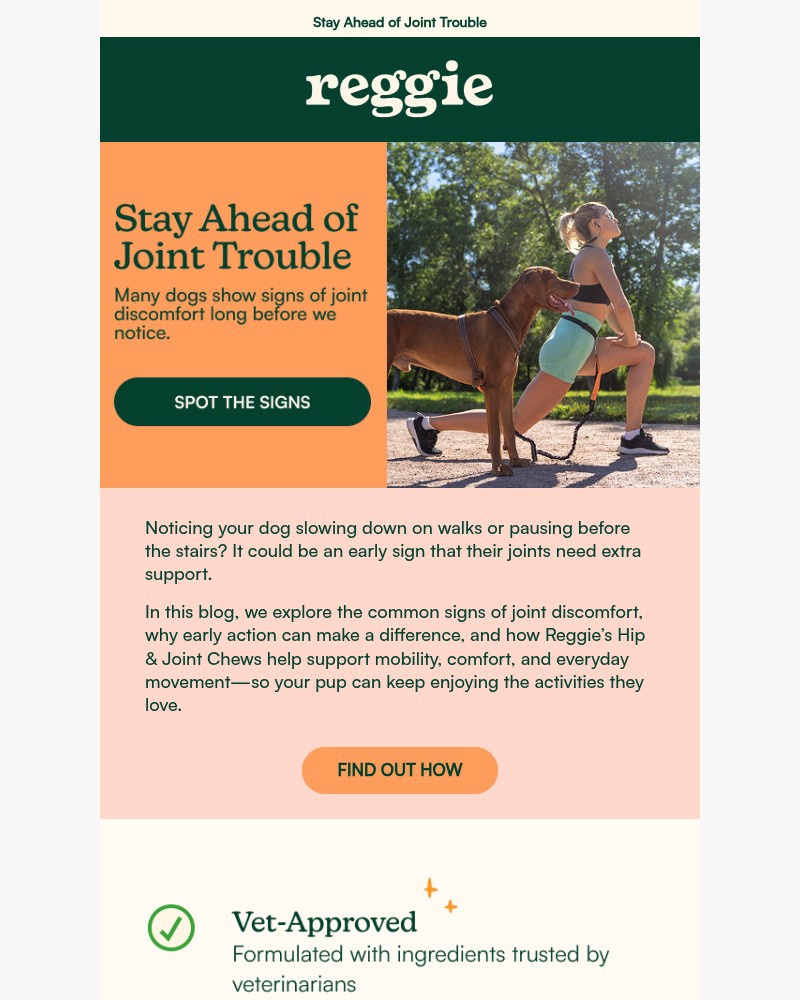 Screenshot of email sent to a reggie Newsletter subscriber