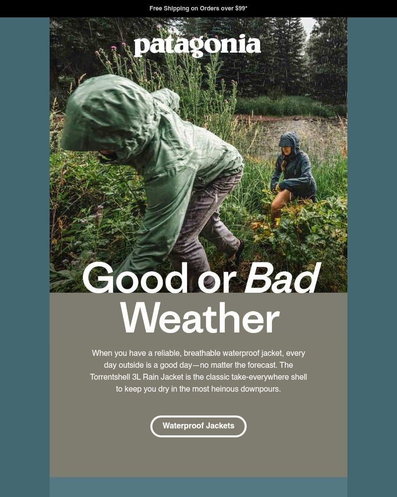 Screenshot of email with subject /media/emails/stay-out-stay-dry-70d9e6-cropped-1a8d388d.jpg