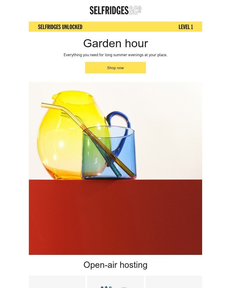 Screenshot of email sent to a Selfridges Newsletter subscriber