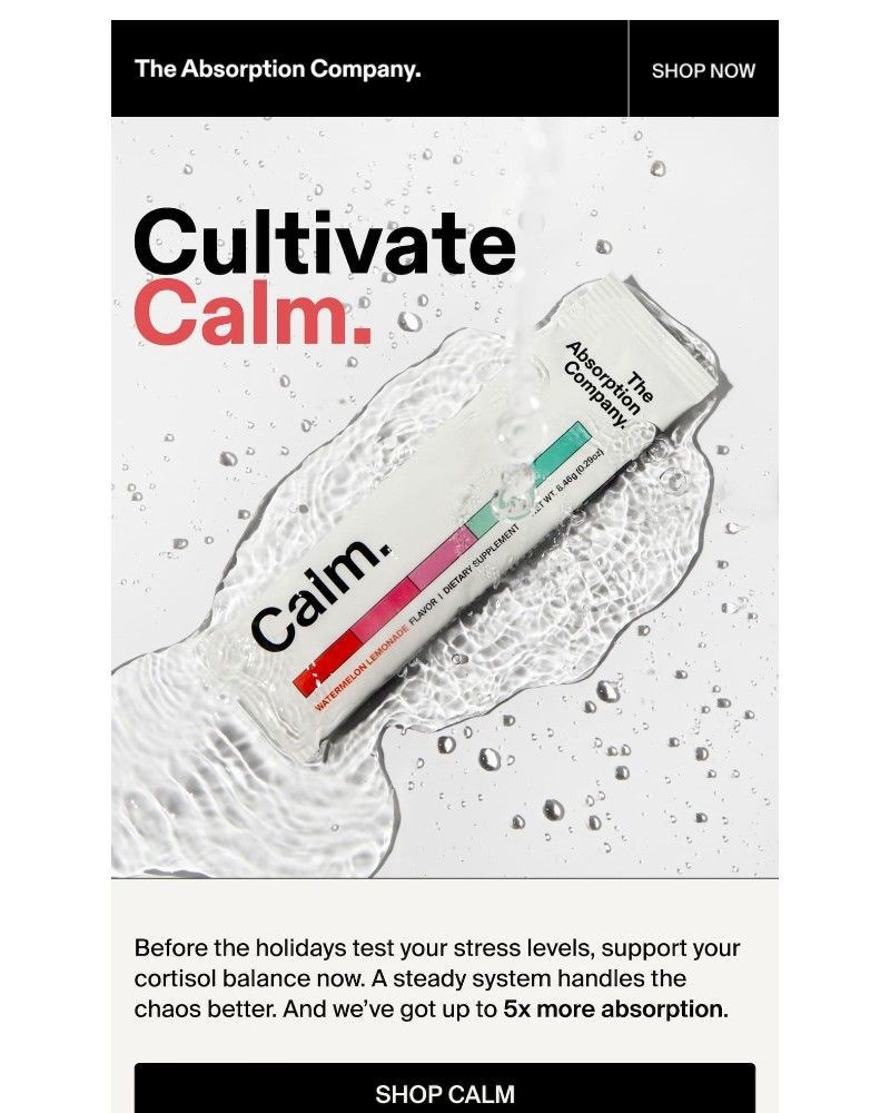 Screenshot of email with subject /media/emails/stay-steady-through-the-holidays-d720cb-cropped-9005944e.jpg