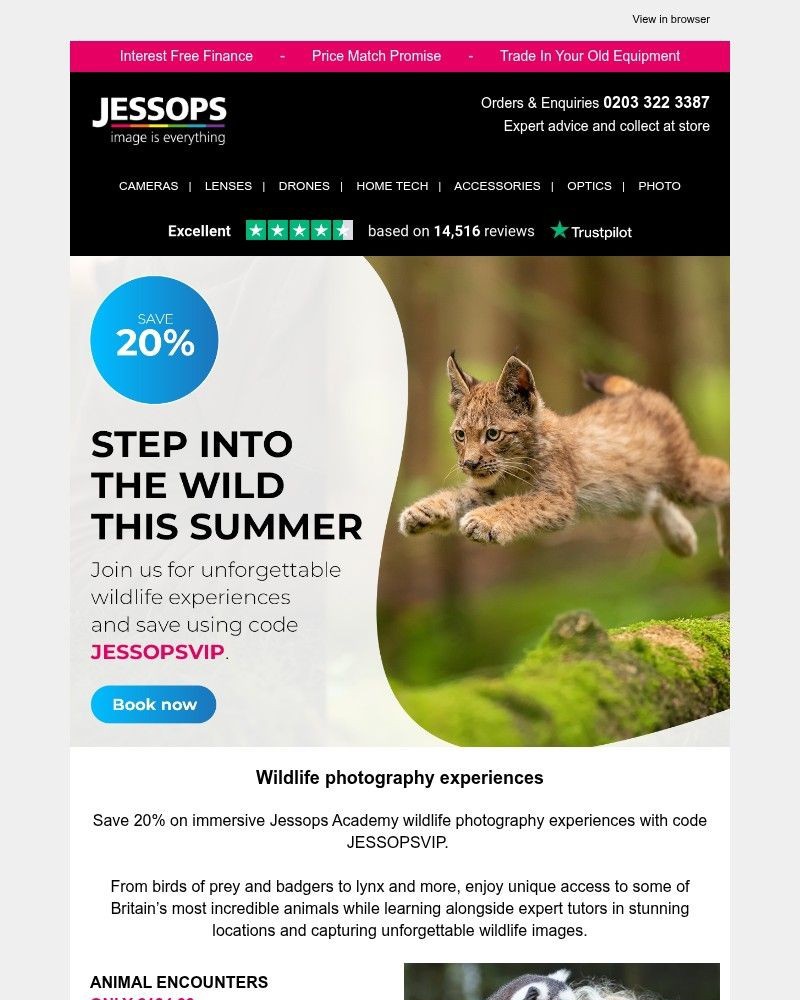 Screenshot of email with subject /media/emails/step-into-the-wild-this-summer-and-save-20-on-our-experiences-a27a82-cropped-a79d57ac.jpg