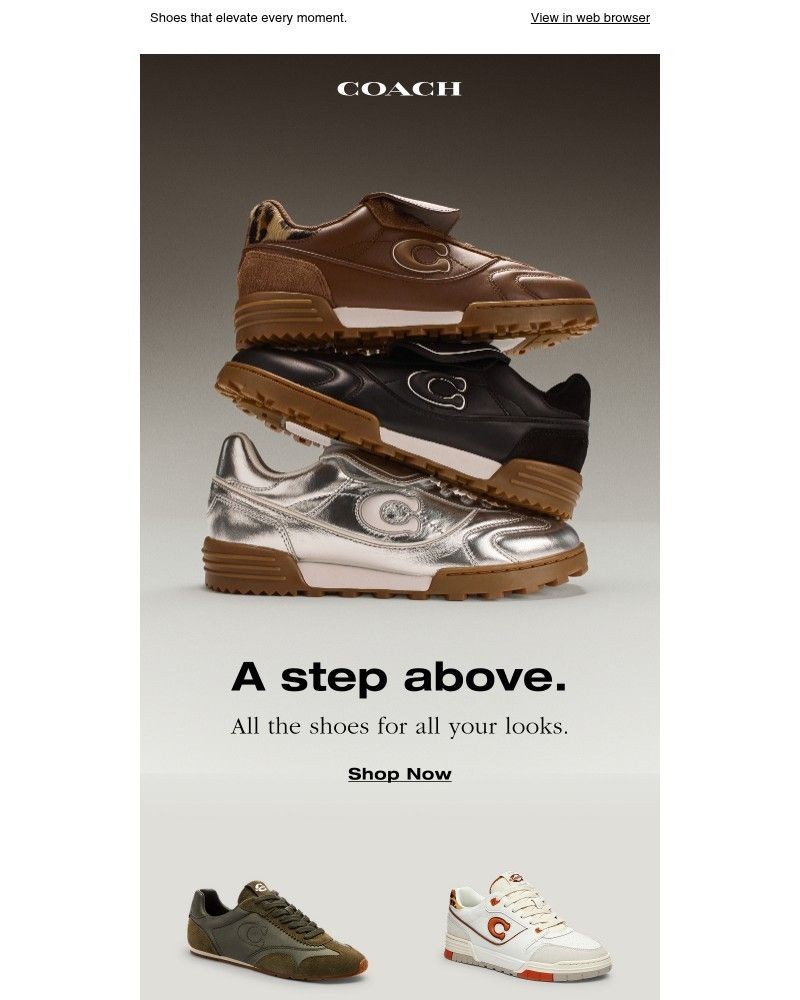 Screenshot of email with subject /media/emails/step-it-up-b21c9a-cropped-b907033b.jpg