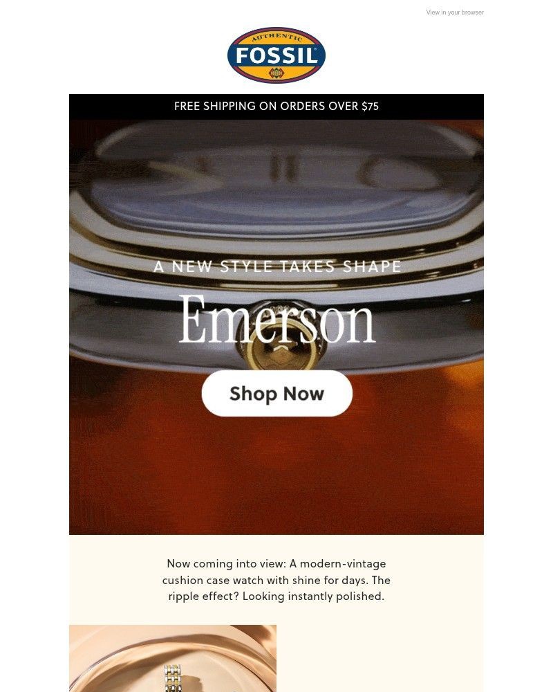 Screenshot of email with subject /media/emails/step-up-your-shine-in-new-emerson-b2f6ce-cropped-e79a2c06.jpg