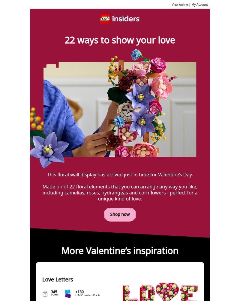 Screenshot of email sent to a Lego Registered user