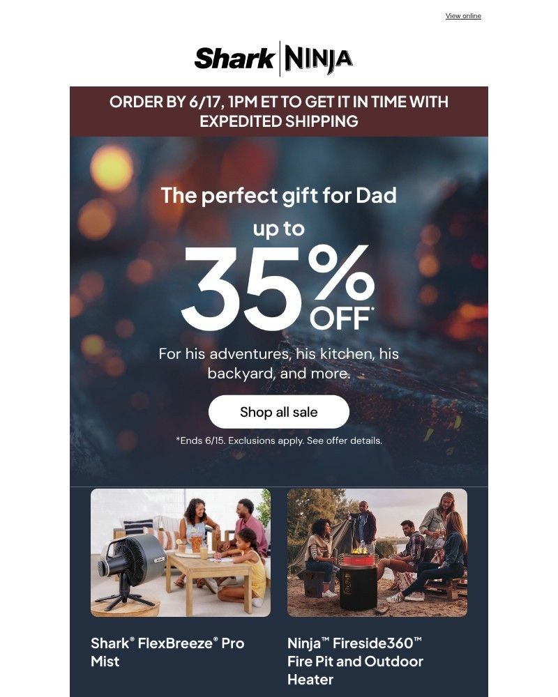 Screenshot of email with subject /media/emails/still-need-dads-gift-order-by-1-pm-et-b5e7ec-cropped-ef1f69d5.jpg