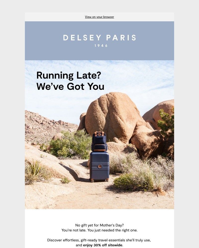 Screenshot of email sent to a Delsey Paris Newsletter subscriber