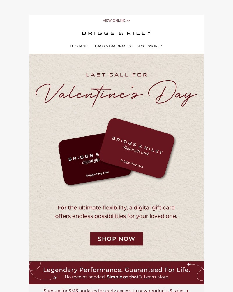 Screenshot of email with subject /media/emails/still-shopping-for-valentines-day-035974-cropped-d24f2ed5.jpg