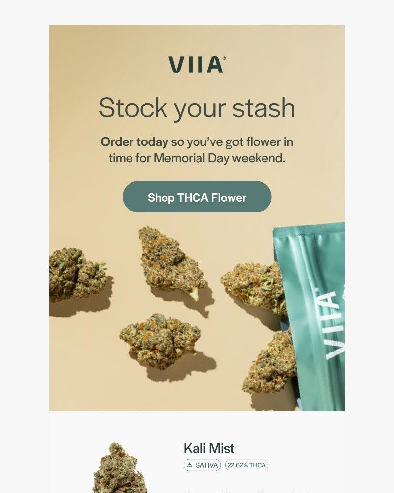 Screenshot of email sent to a VIIA Newsletter subscriber