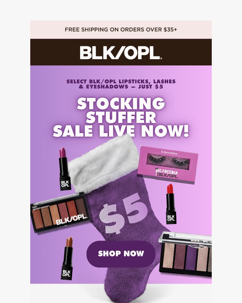 Screenshot of email sent to a Black Opal Beauty Newsletter subscriber