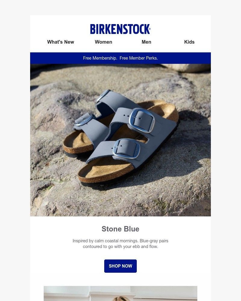 Screenshot of email with subject /media/emails/stone-blue-looks-like-fall-on-the-coast-c4d77d-cropped-e24298ad.jpg