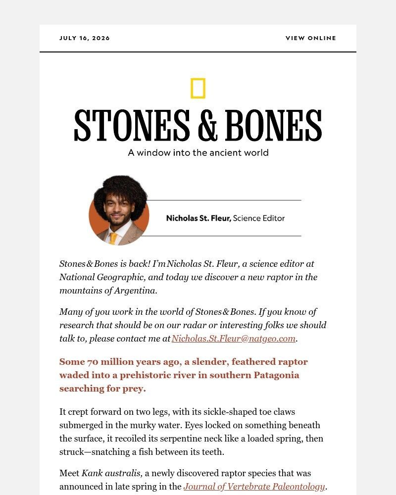 Screenshot of email with subject /media/emails/stones-bones-a-raptor-in-the-snow-and-a-helicopter-escape-6b3ddb-cropped-f1dd6bde.jpg