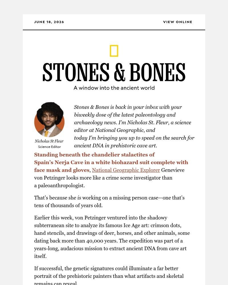 Screenshot of email sent to a National Geographic Newsletter subscriber