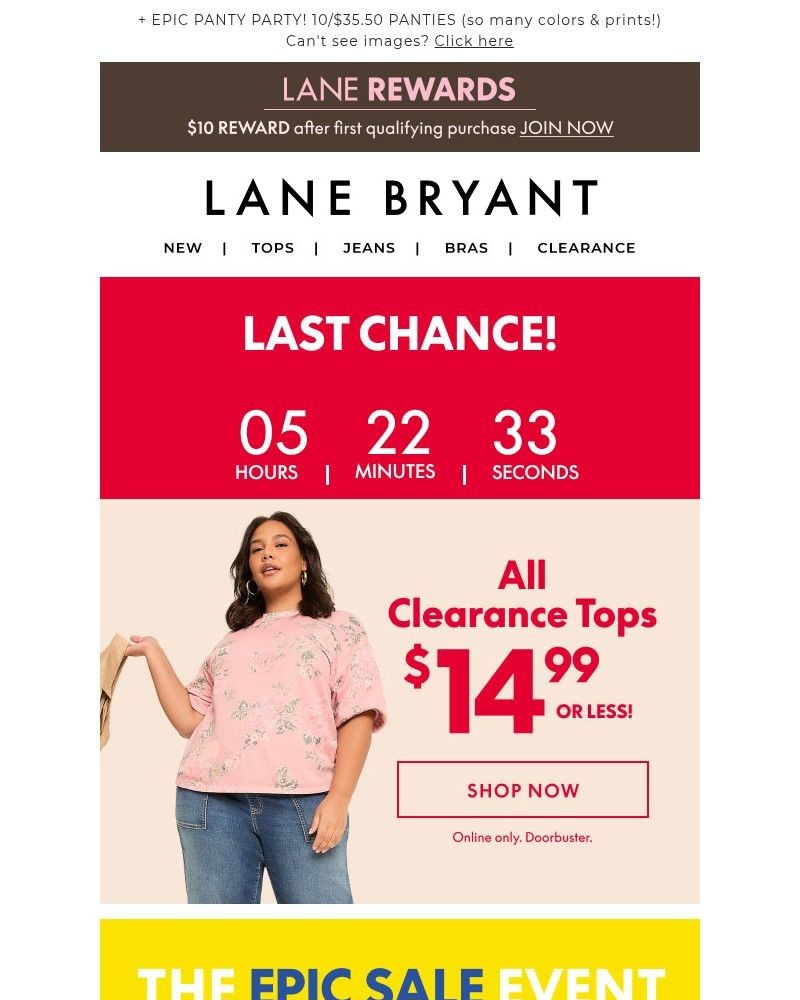 Screenshot of email sent to a Lane Bryant Newsletter subscriber
