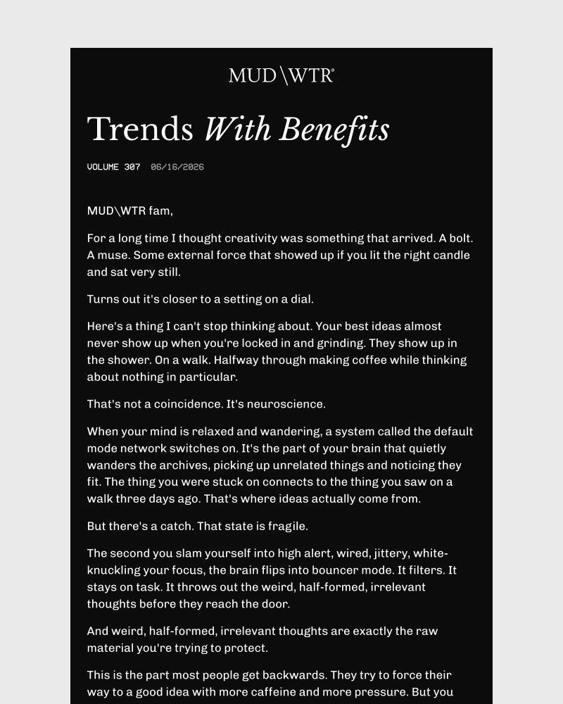 Screenshot of email sent to a MUD/WTR Newsletter subscriber