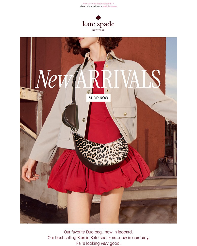 Screenshot of email with subject /media/emails/stop-what-youre-doing-8f8126-cropped-9e122835.jpg