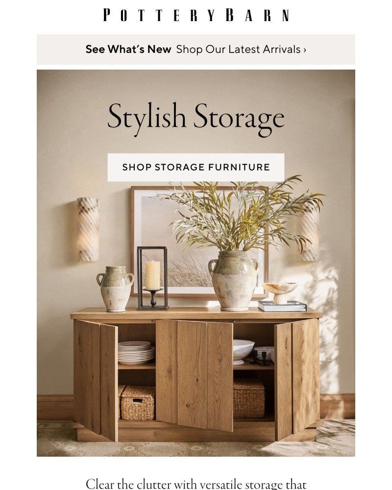 Screenshot of email with subject /media/emails/storage-has-never-looked-so-good-512847-cropped-69853be2.jpg