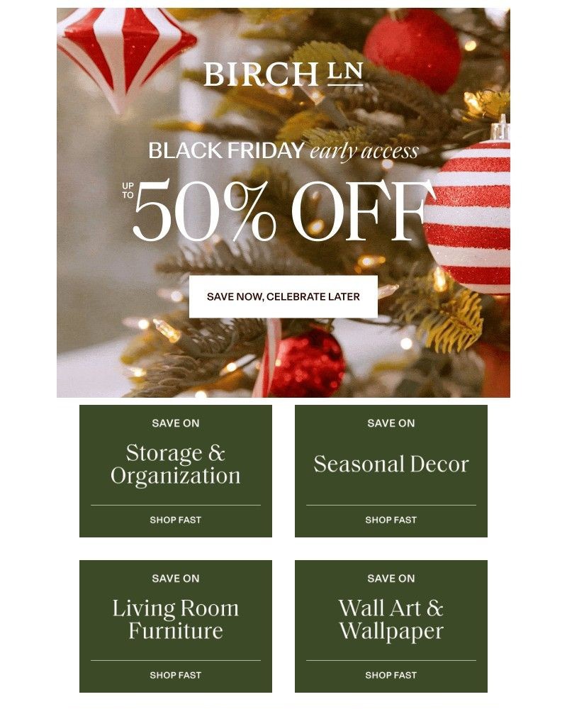 Screenshot of email with subject /media/emails/storage-organization-deals-black-friday-early-access-is-here-7fed35-cropped-053dbc0d.jpg