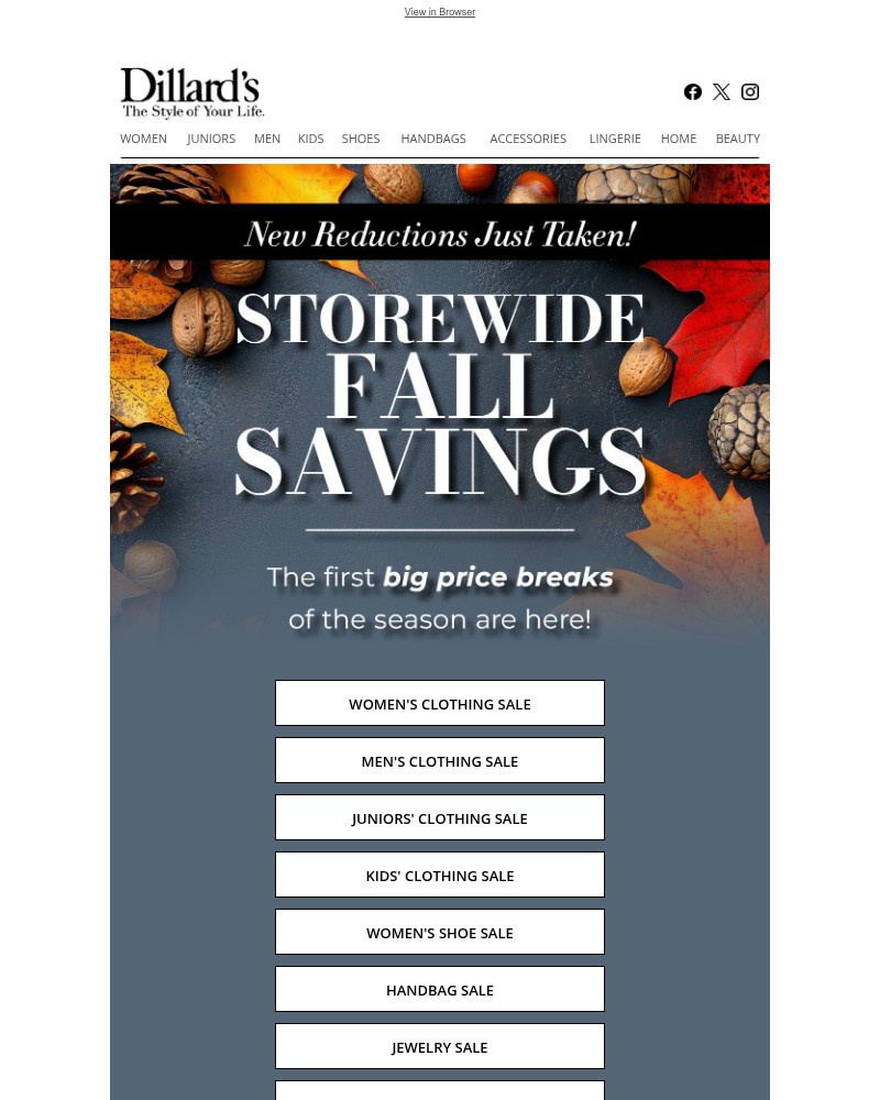 Screenshot of email sent to a Dillards Newsletter subscriber