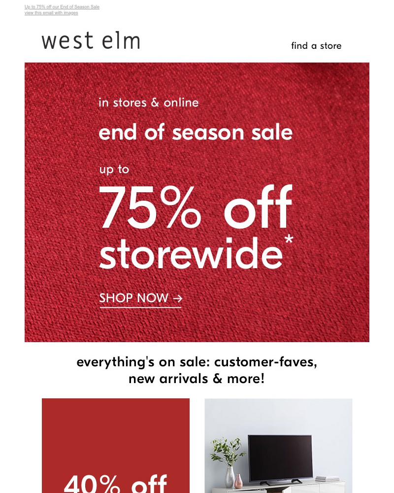 Screenshot of email with subject /media/emails/storewide-up-to-75-off-cropped-34640eeb.jpg