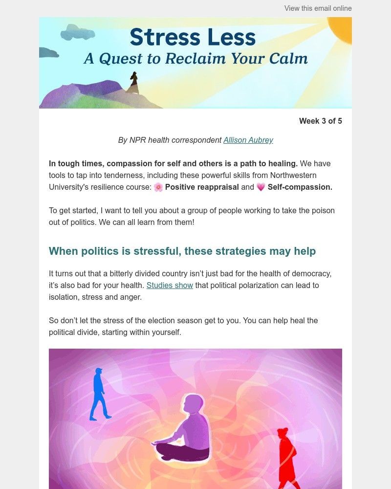 Screenshot of email with subject /media/emails/stress-less-outraged-by-politics-heres-how-to-cope-8a8ccc-cropped-c1dc7e81.jpg