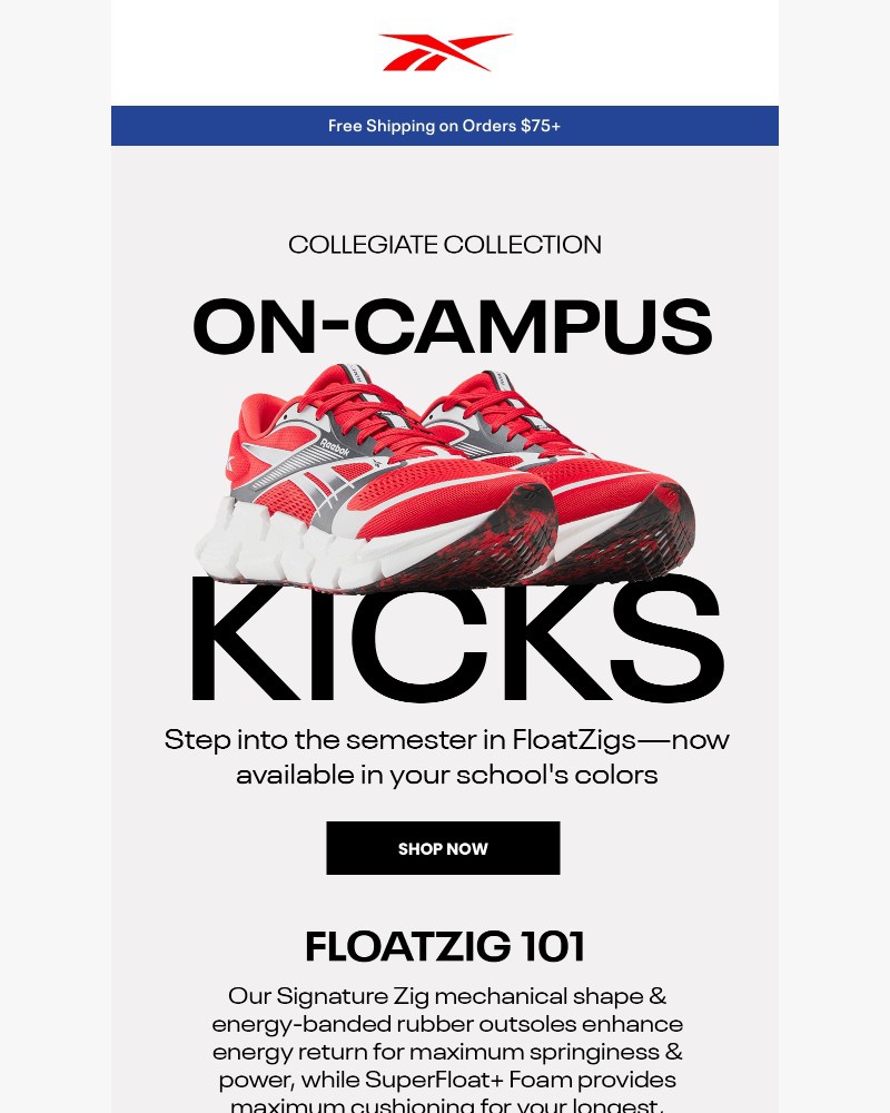 Screenshot of email with subject /media/emails/stride-with-pride-a6fdee-cropped-21be9cff.jpg