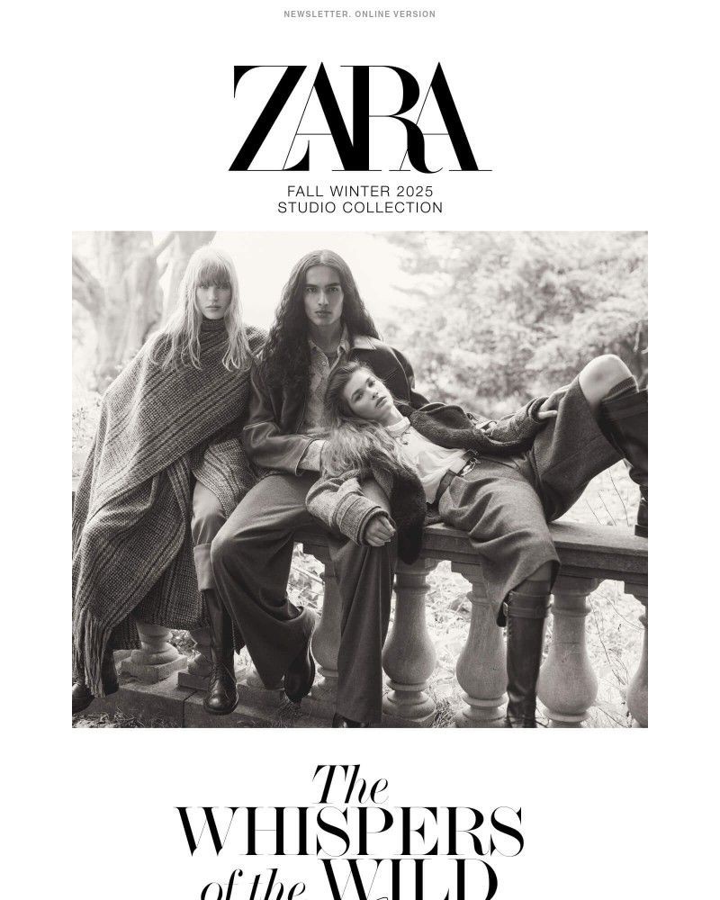 Screenshot of email with subject /media/emails/studio-collection-fw25-0ff520-cropped-f1ebb12c.jpg