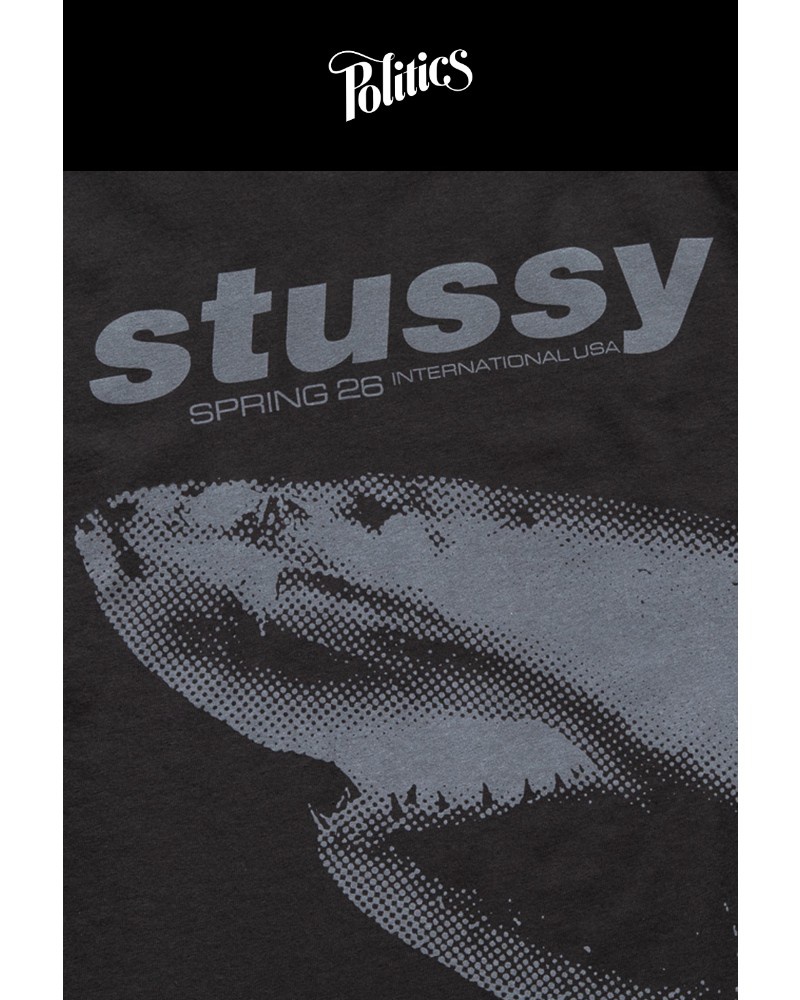 Screenshot of email with subject /media/emails/stussy-graphics-spring-26-7a3958-cropped-5e394bc6.jpg