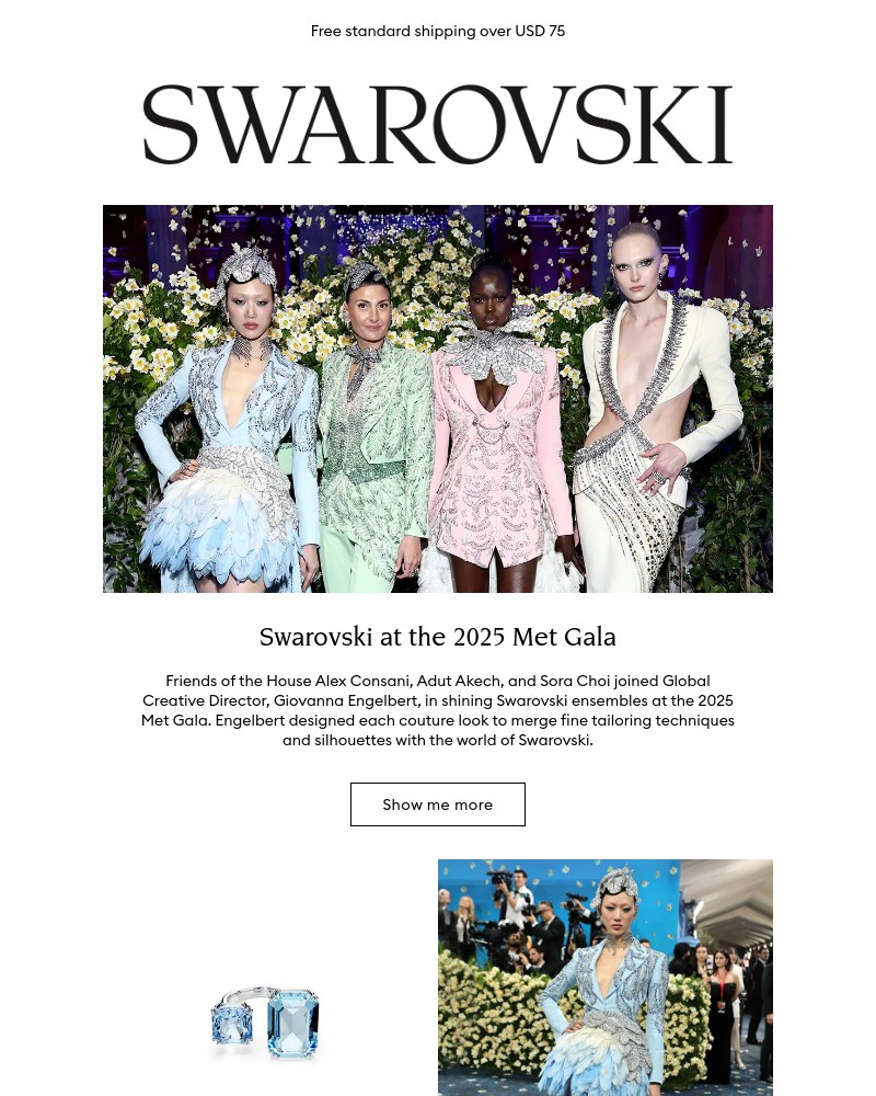Screenshot of email with subject /media/emails/style-inspiration-from-the-met-gala-a9e2ae-cropped-82d3fdf1.jpg