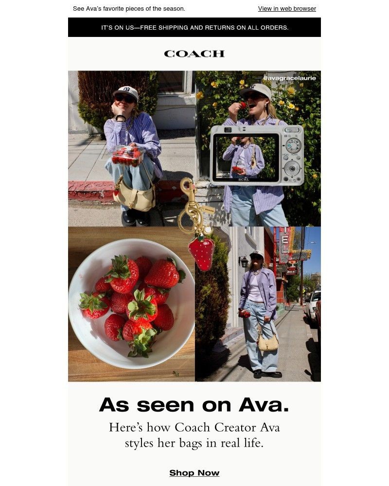 Screenshot of email with subject /media/emails/style-inspo-from-a-coach-creator-801760-cropped-590b798e.jpg