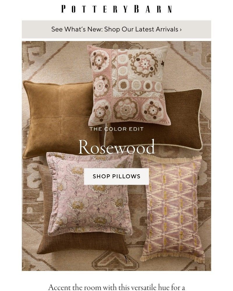 Screenshot of email with subject /media/emails/style-spotlight-rosewood-d4eddc-cropped-22e5938a.jpg