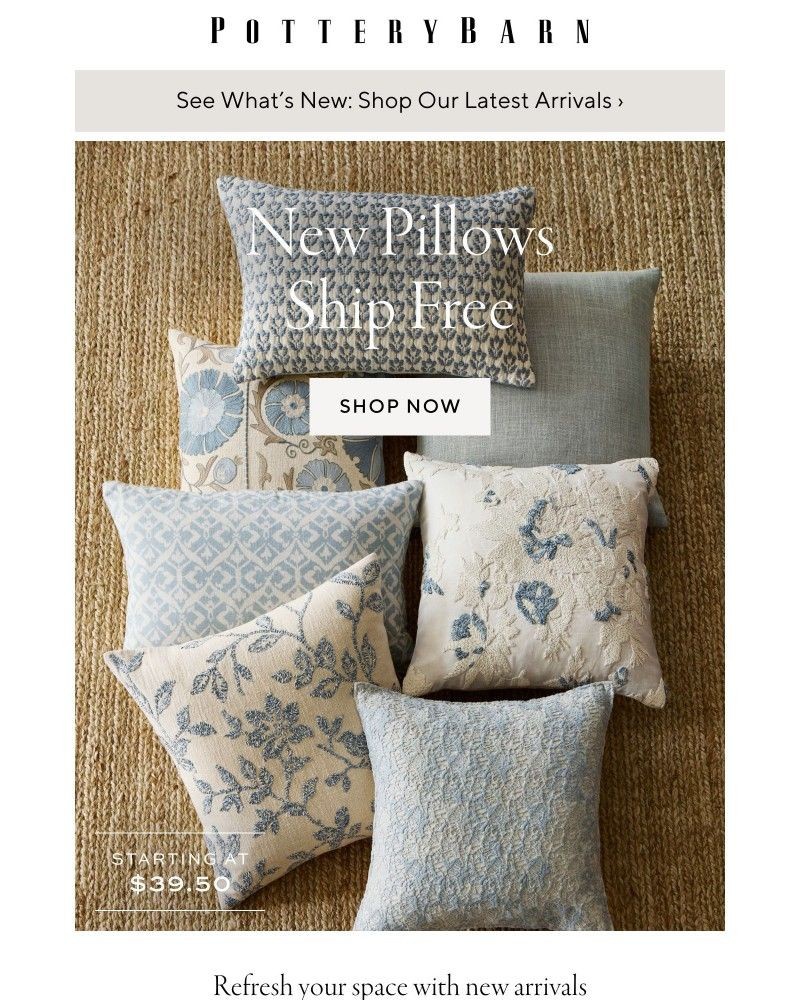 Screenshot of email with subject /media/emails/style-your-space-with-pillows-that-ship-free-9dc821-cropped-c6d79e22.jpg