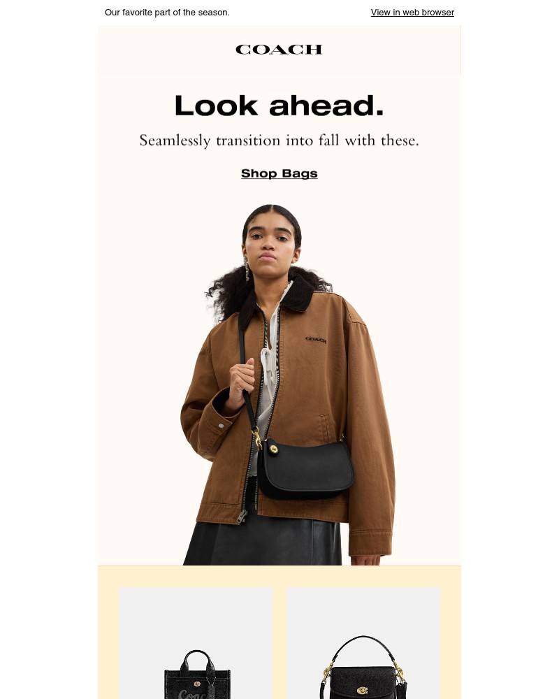 Screenshot of email with subject /media/emails/style-your-way-into-autumn-f60b94-cropped-a339834c.jpg