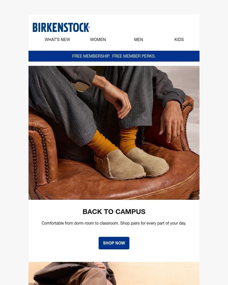 Screenshot of email with subject /media/emails/styles-for-every-corner-of-campus-55d8bd-cropped-b3de73a5.jpg