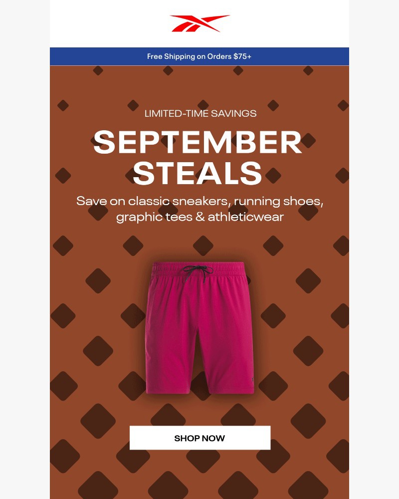 Screenshot of email with subject /media/emails/styles-starting-at-10-894583-cropped-763a3aae.jpg