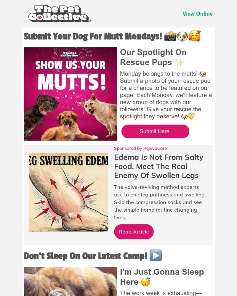 Screenshot of email with subject /media/emails/submit-your-rescue-pup-for-mutt-mondays-a01ef9-cropped-714a8663.jpg