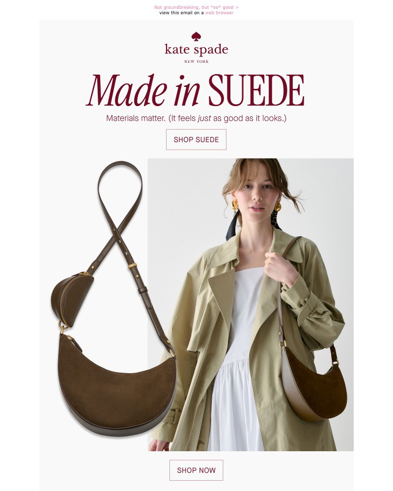 Screenshot of email with subject /media/emails/suede-for-fall-fbfdc8-cropped-f3758d50.jpg
