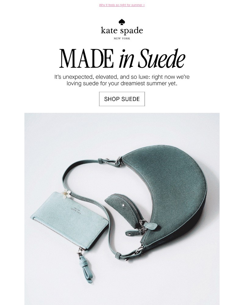 Screenshot of email with subject /media/emails/suede-reimagined-854411-cropped-ad5407ce.jpg