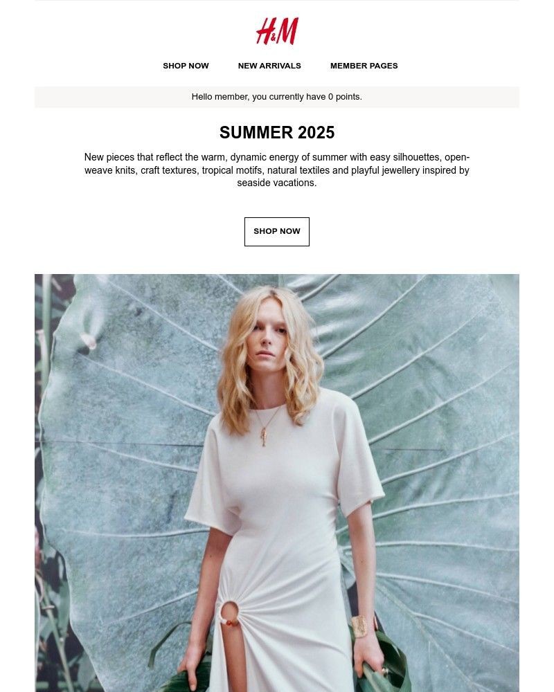 Screenshot of email with subject /media/emails/summer-2025-12d686-cropped-42340d74.jpg