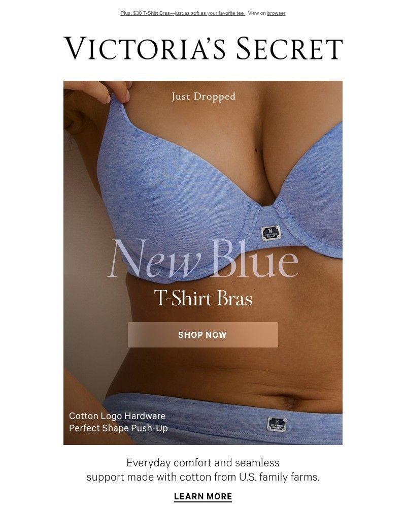 Screenshot of email with subject /media/emails/summer-bras-in-new-blue-colors-6f0fe3-cropped-6d420714.jpg