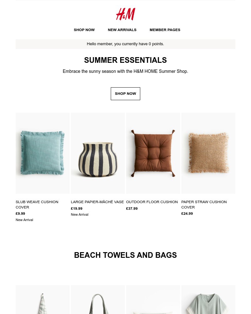 Screenshot of email with subject /media/emails/summer-essentials-00943a-cropped-b1a289d0.jpg