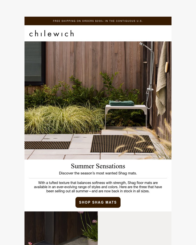 Screenshot of email with subject /media/emails/summer-favorites-shag-mat-edition-adb65e-cropped-d7732568.jpg