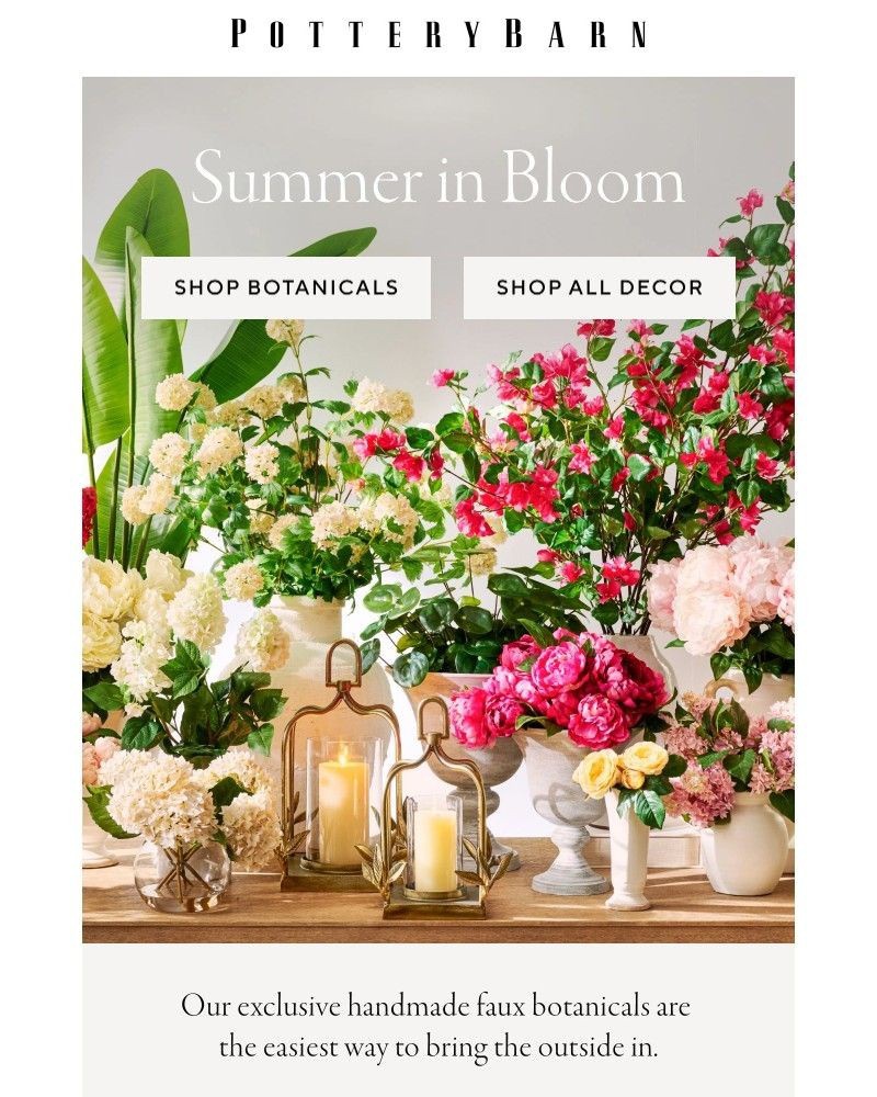 Screenshot of email with subject /media/emails/summer-in-bloom-249b0c-cropped-3407d08f.jpg