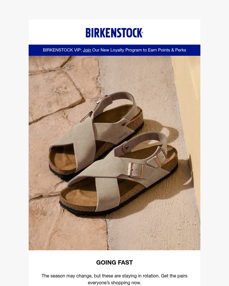 Screenshot of email with subject /media/emails/summer-is-going-fast-so-are-these-159a4d-cropped-72ab012f.jpg