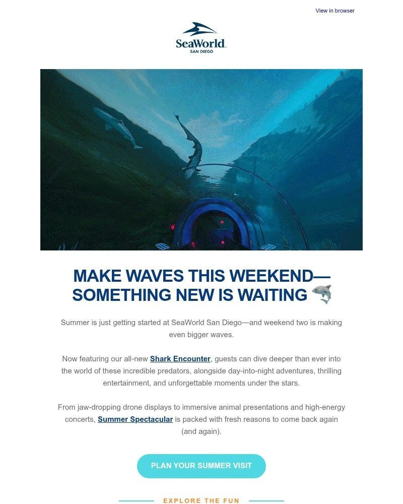 Screenshot of email with subject /media/emails/summer-is-here-discover-our-new-dolphin-shark-drone-experiences-6ae1c4-cropped-379295c8.jpg