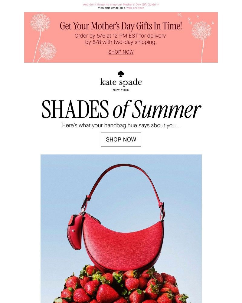 Screenshot of email with subject /media/emails/summer-looks-bright-eca0a0-cropped-e2fdf7e3.jpg